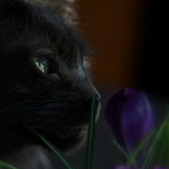 Светлана Клепилина, 13.12, Санкт-Петербург