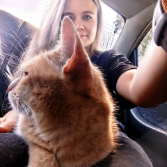 Алёна Агеева, 28.06, Ярославль