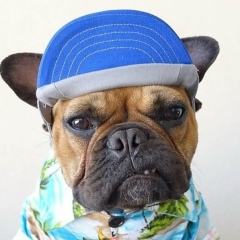 Алекс Яркий, 12.06, San Francisco