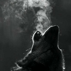 Виталий Безручко, 06.05.1986, Пластуновская