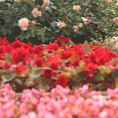 Асель Бекжанова, 01.01, Костанай