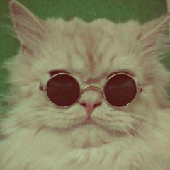 Sulim Woo, Грозный