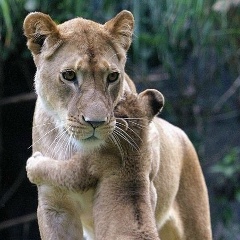 Анна Переведенцева, 31.08, Санкт-Петербург