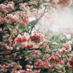 Djami Gasieva, 16.10