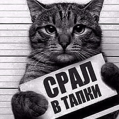 Mehman Dadashov, 07.11.1986, Stockholm