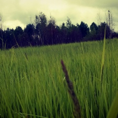 Галина Малышева, Москва