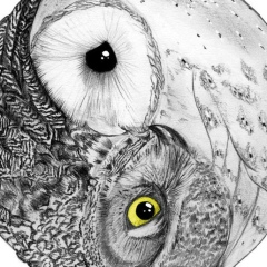 Далай Монгуш, 27.09, Санкт-Петербург