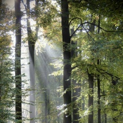 Ляйсан Бадриева, 20.05, Казань