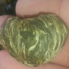 Юлия Быкова, 15.03, Москва