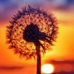 Ирина Баландович, Самара