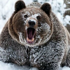 Антон Седиков, 01.04.1982, Москва