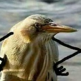 Asja Kireeva, 08.09, Санкт-Петербург