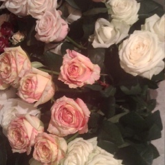 Алиса Черноокая, 13.04, Хмельницкий