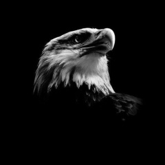 Раиль Керимов, 05.04.1998, Ярославль