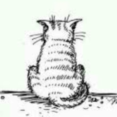 Ольга Шуляк, 11.07