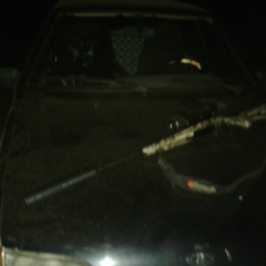 Владислав Заднепровский, 24.08.1985, Черкассы