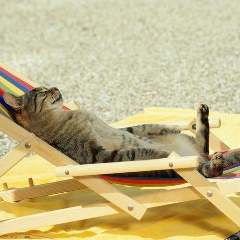 Виталий Карпов, 02.07.1982, Санкт-Петербург