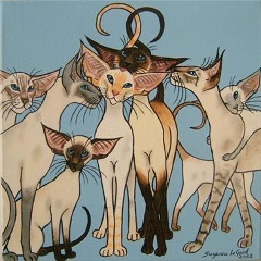 Лариса Larisa, Краснодар