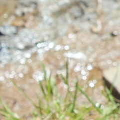 Наташа Бессонова, 29.03, Санкт-Петербург