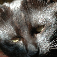 Лилия Заболотная, 15.10.1983, Ровно