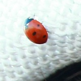 Михаил Канатчиков, 25.12.1986, Санкт-Петербург