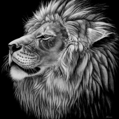 Ali Zimcaev, 03.02, Грозный