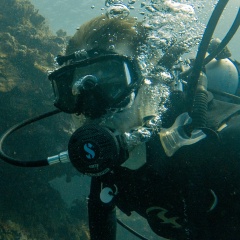 Владимир Ушаков, 21.11, New York City