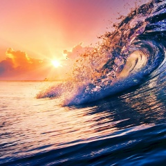 Елена Болонина, 08.02, Санкт-Петербург