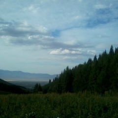 Ескали Шамгунов