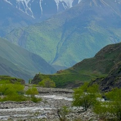 Мурад Магомедов, 20.05