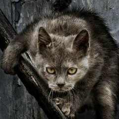 Василий Казаков, 25.10.1989, Красноярск