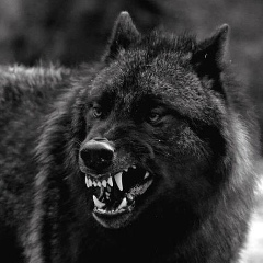 Бакытжан Кабдыгалымов, 25.07.1995, Москва