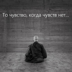 Дима Старший, Санкт-Петербург