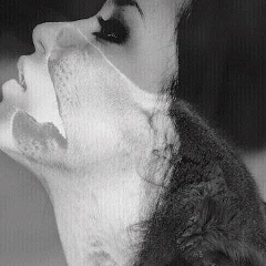 Дамина Шамилова