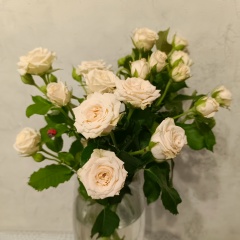 Елена Короткова, 26.06, Волгоград