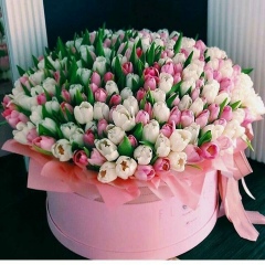 Жулдыз-Ай Байтулакова