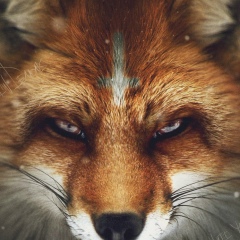 Александр Тарасюк, 16.07.1984, Одесса