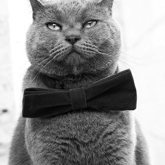 Александр Синицын, 30.09, Вологда