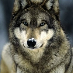 Света Молодцова, 17.05, Волгоград