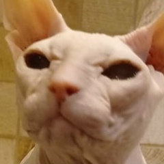 Наталия Марушина, 11.02