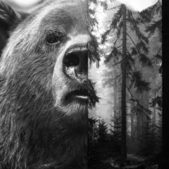 Федор Кречетов, 28.05.1901, Астрахань