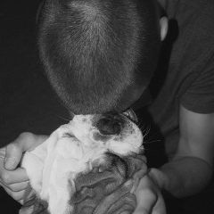 Street Hooligans, 16.12, Москва