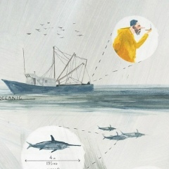 Елена Григорович, 01.09, Санкт-Петербург