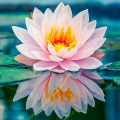 Марина Коротова, 10.09, Тюмень