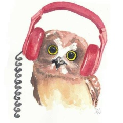 Алексей Савинков, Новосибирск