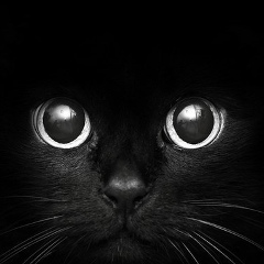 Олег Хомич, 26.05