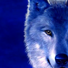 Димон , 08.01, Москва