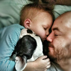 Пётр Таргонский, 02.03, Киев