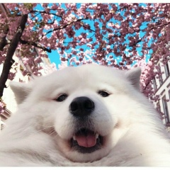 Константин Максимов, 23.03.1983, Канаш