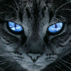 Александр Гилко, 21.01